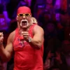 Pro wrestling legend Hulk Hogan dead at 71